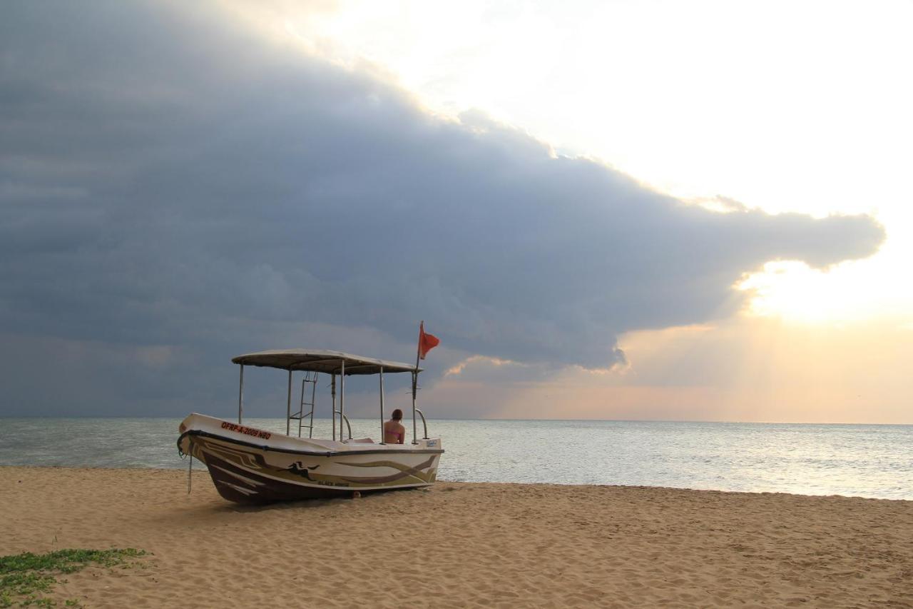 Zendara Hotel Negombo Exteriör bild