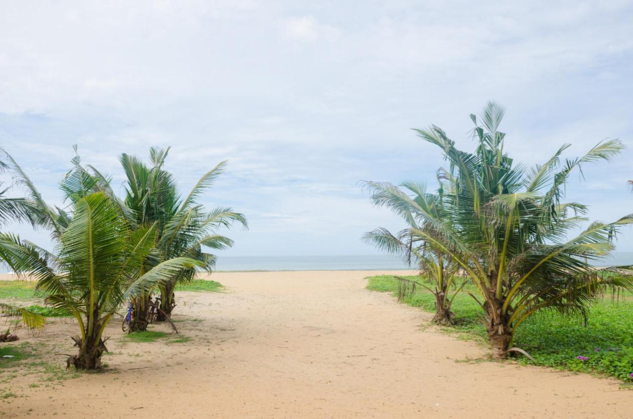 Zendara Hotel Negombo Exteriör bild